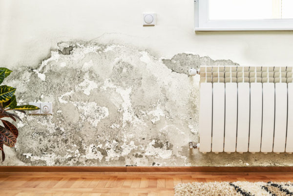 Mold-in-Home